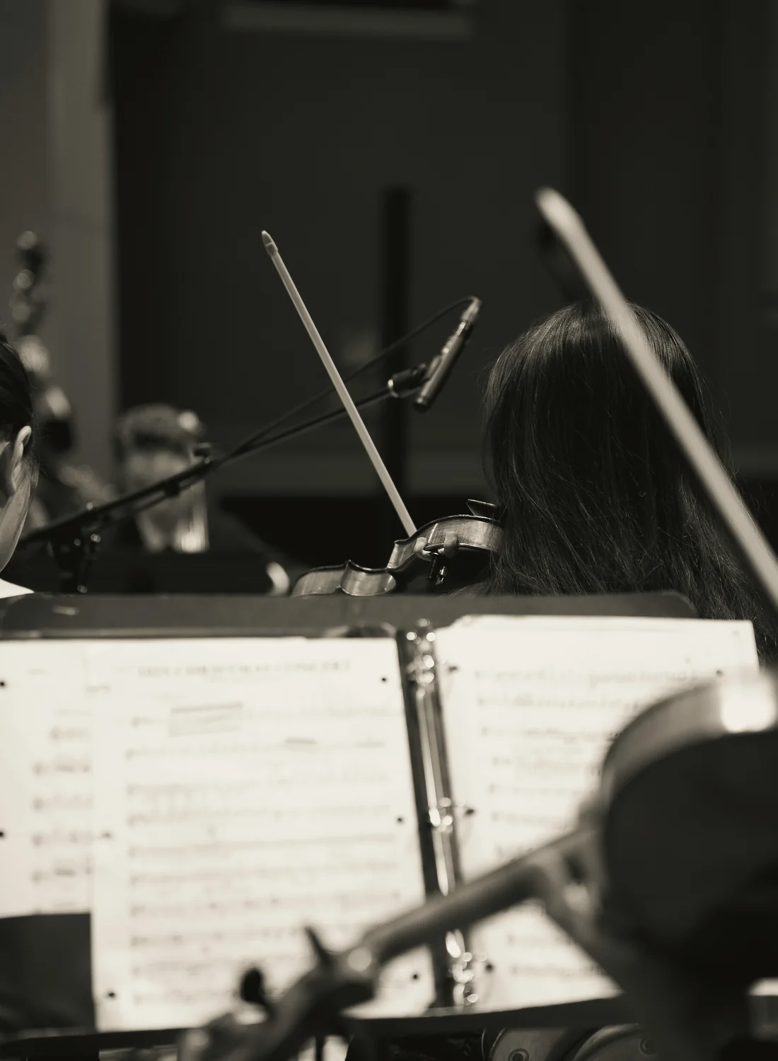 Violinists seen from behind reading sheet music during a performance, representative of the orchestra playing the Strauss programme